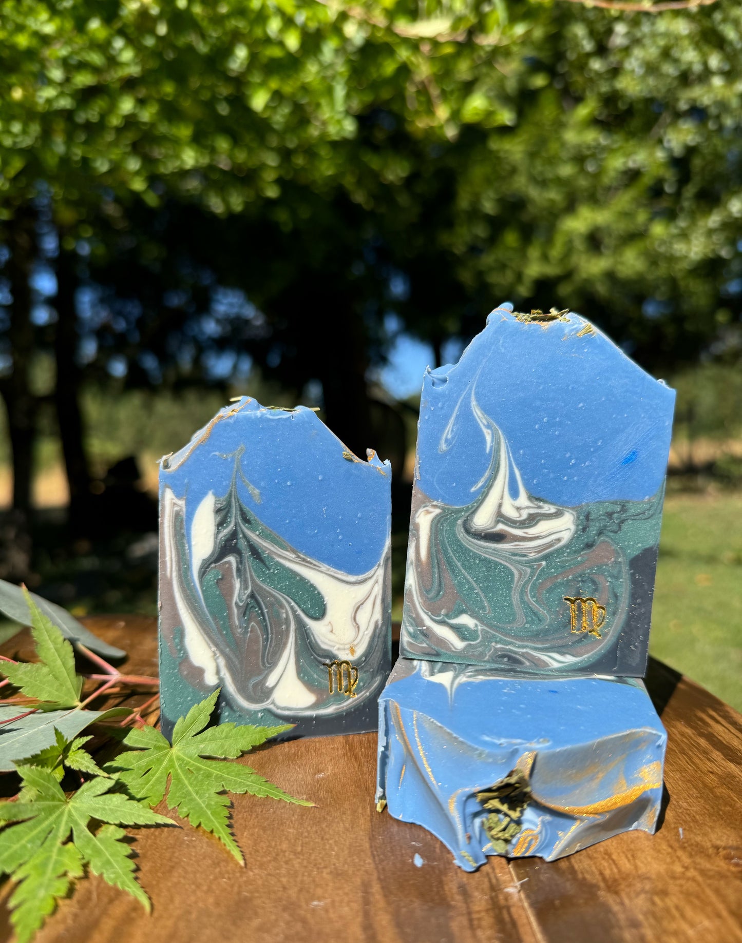 Virgo ♍️ ~ 23/08 - 22/09