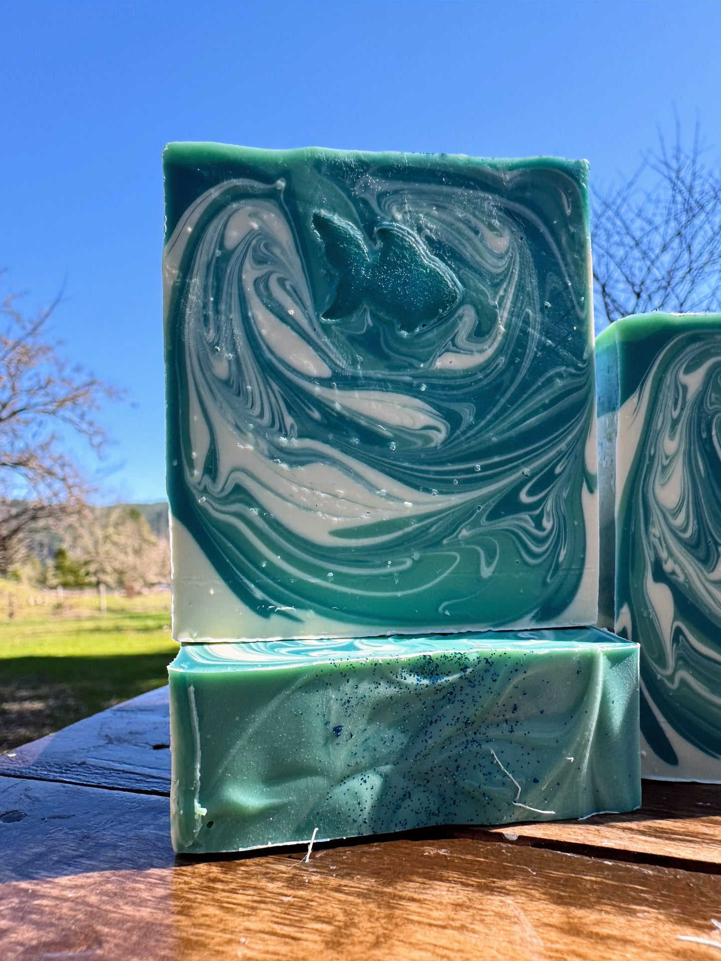 Pisces ♓️ 2/19 - 3/20