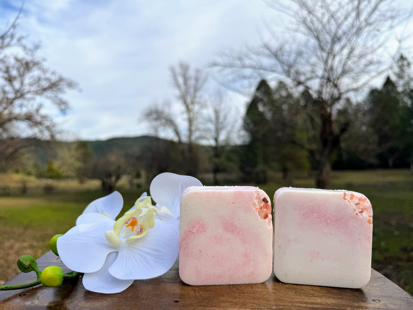 Sea Salt & Orchid