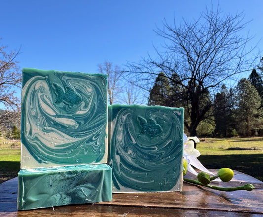 Aquarius ♒️ 1/20 - 2/18