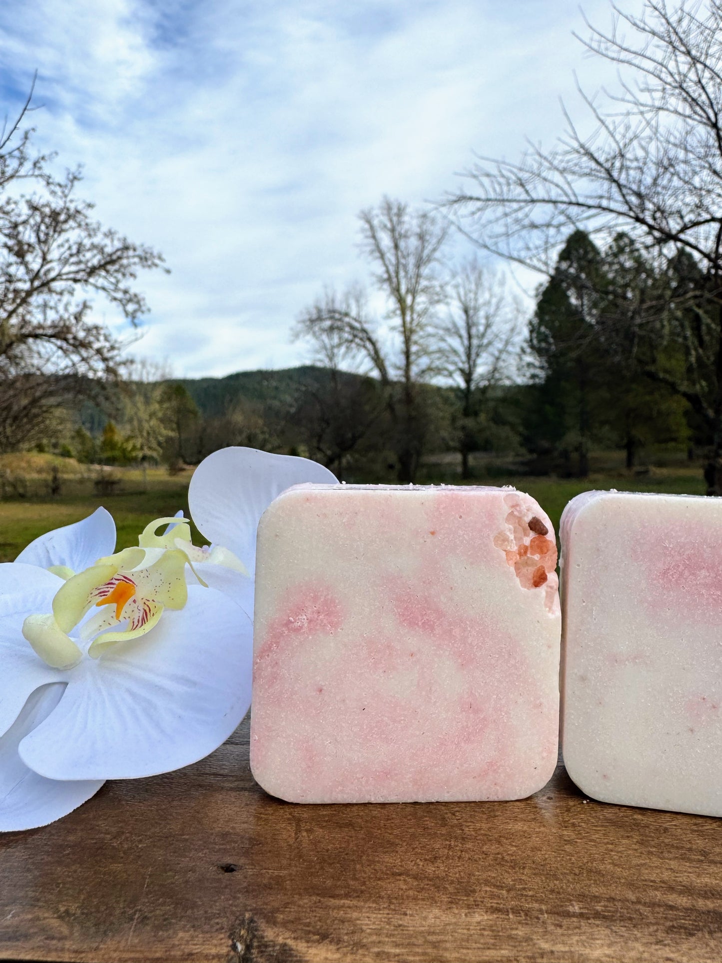 Sea Salt & Orchid