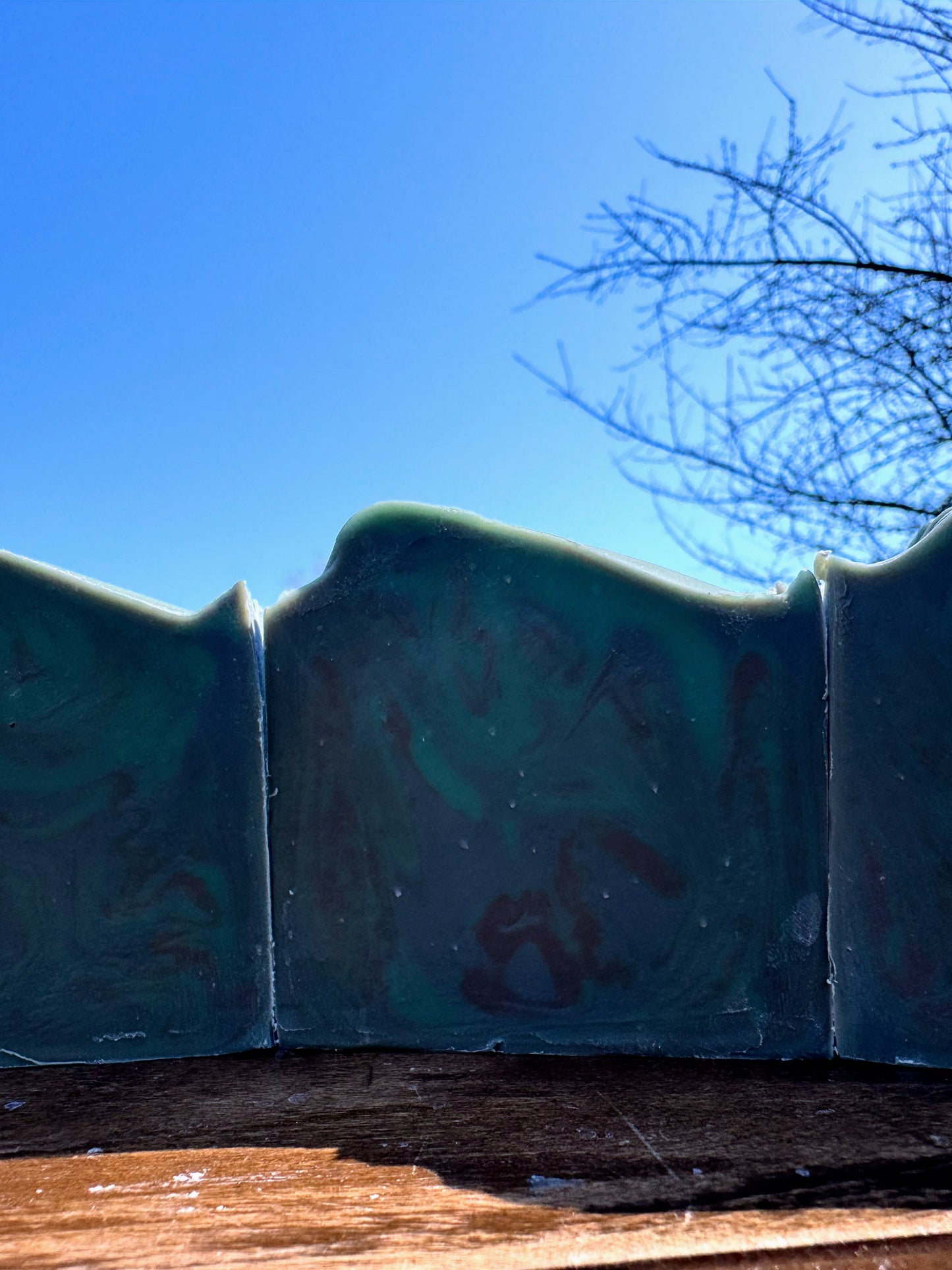 Capricorn ♑️ 12/22 - 1/19