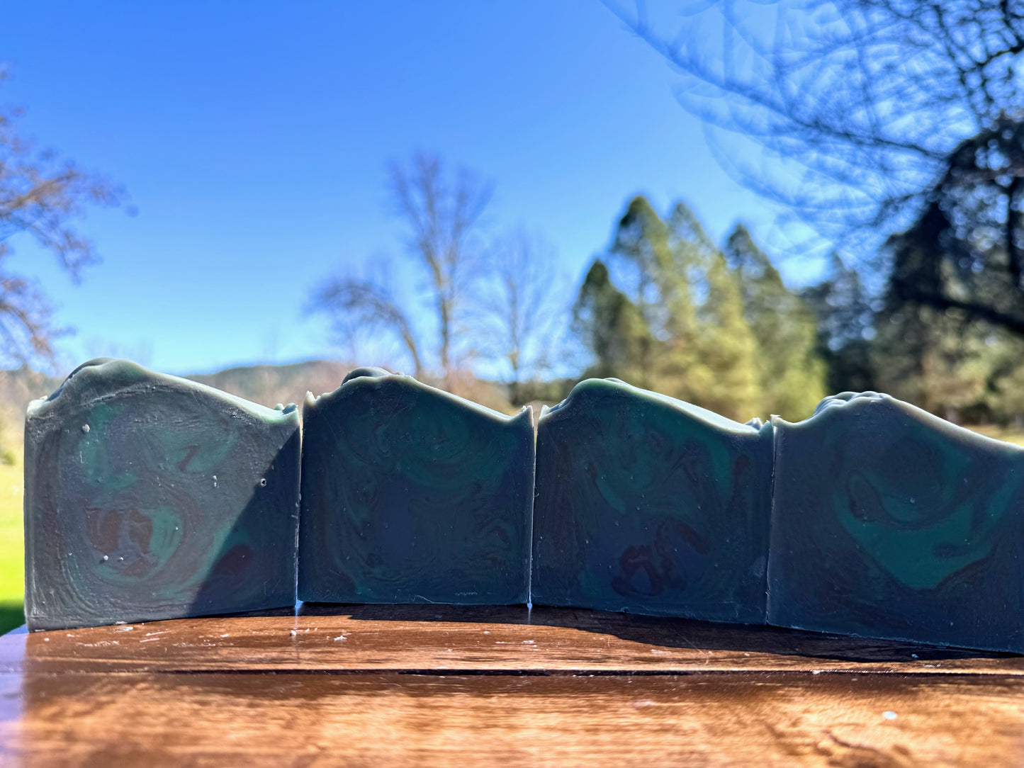 Capricorn ♑️ 12/22 - 1/19