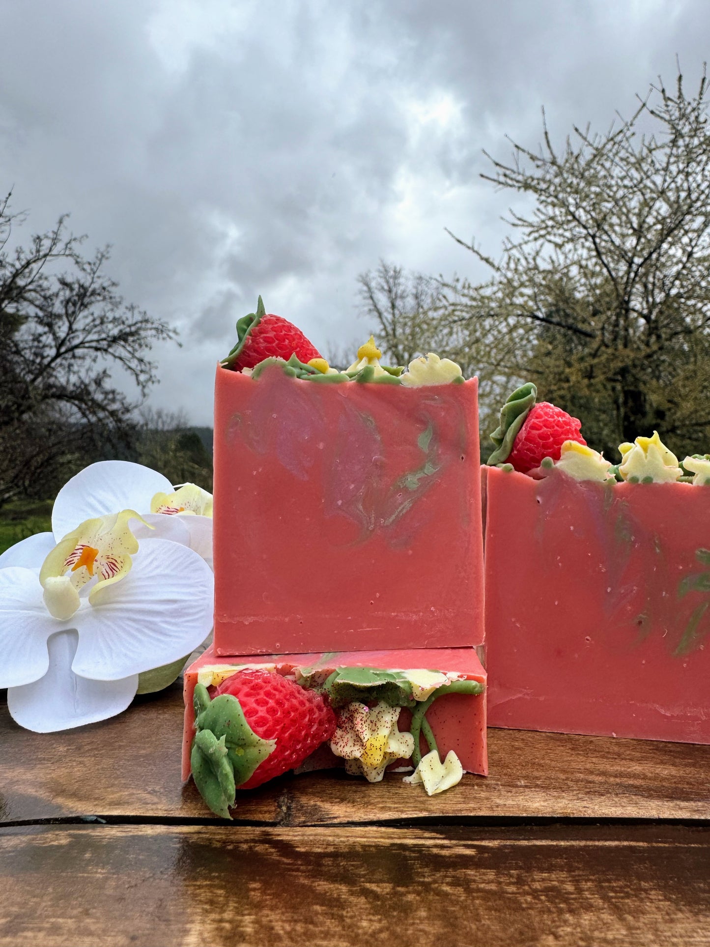 Strawberry Fields π