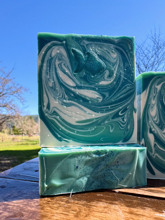 Aquarius ♒️ 1/20 - 2/18