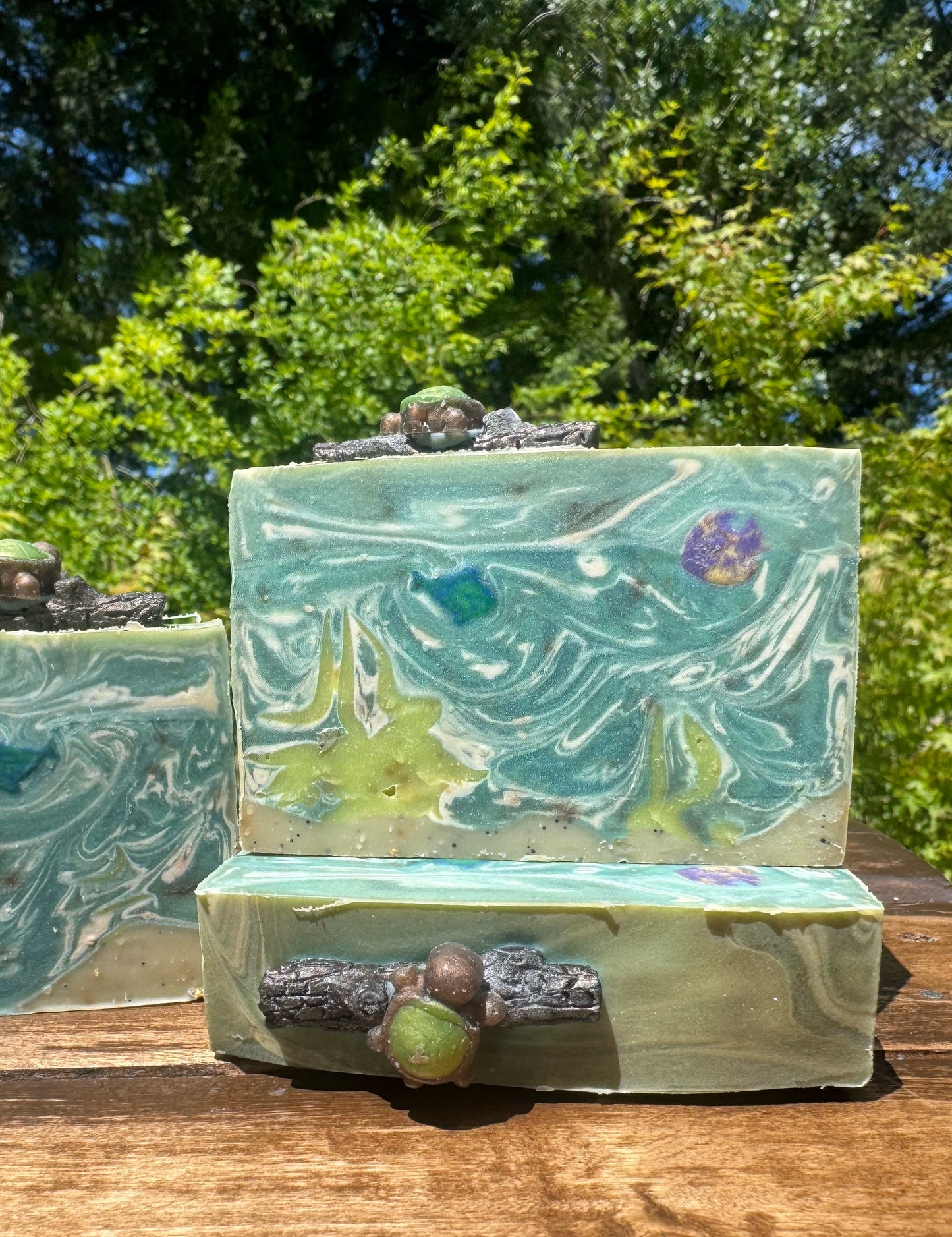 Turtle Pond