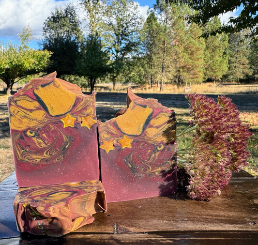 Scorpio ♏️ ~ 10/23 - 11/21