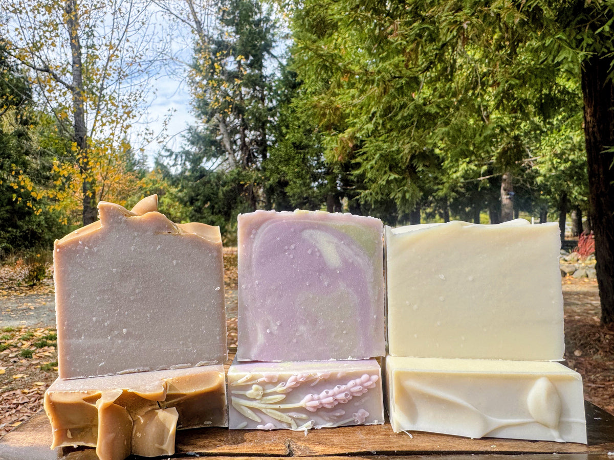 Redwood - Tallow