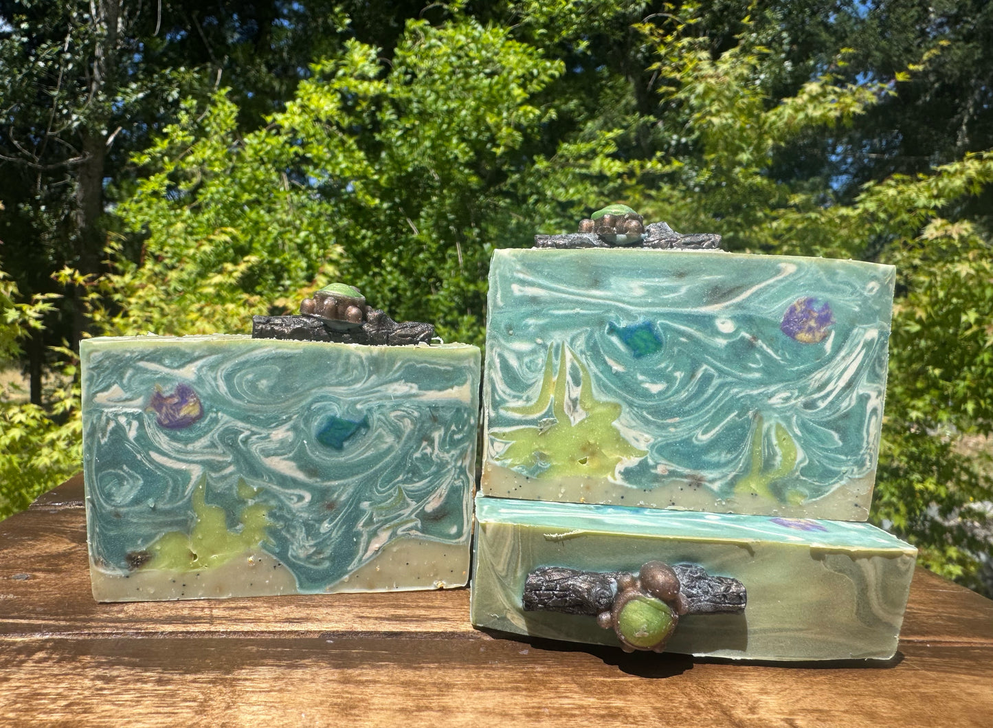 Turtle Pond